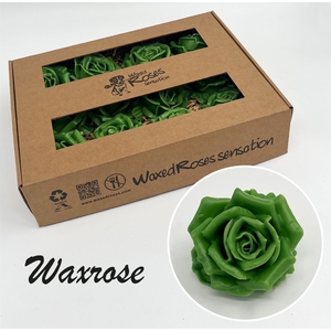 Zijde R Wx Groen
