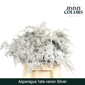 Aspa 1ste veren + glitter Silver + glitter