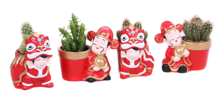 <h4>Cactus 5,5 cm in Chongqing planter</h4>