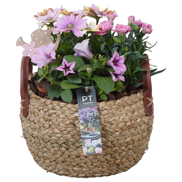 <h4>Arr.   Perkplanten H%</h4>