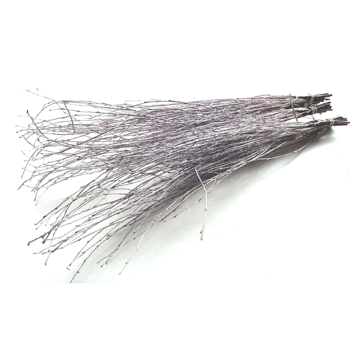 <h4>Birch 70cm 10stems per bunch Champagne + Glitter</h4>