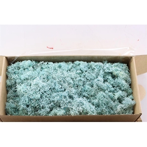 Moss Reindeer Moss 500gr Aqua Marine