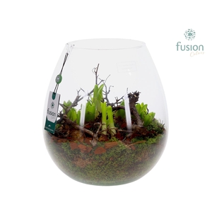 Green Bottle Abby XLarge met Bollenmix