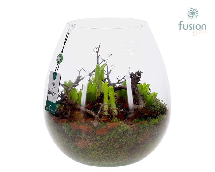 <h4>Green Bottle Abby XLarge met Bollenmix</h4>