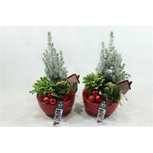 7237 Ker Rood Winter