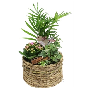 2340 X5 MAND IND NATUREL