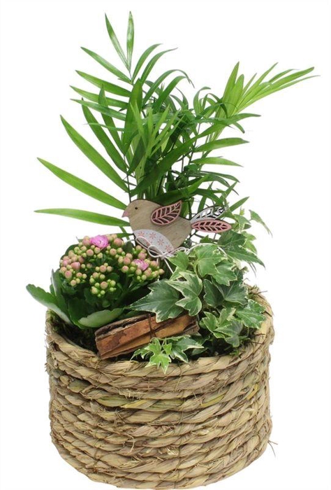 <h4>2340 X5 MAND IND NATUREL</h4>