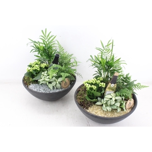 arr2 PL - Ebbi schaal L - goud/zilver