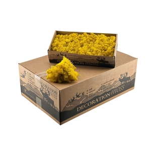 Ijslandsmos Lemon / Yellow