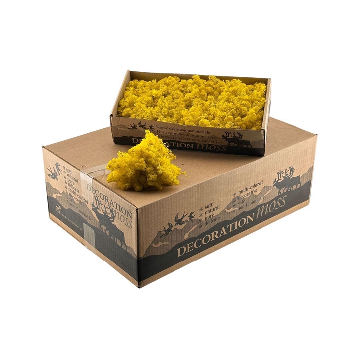 <h4>Ijslandsmos Lemon / Yellow</h4>