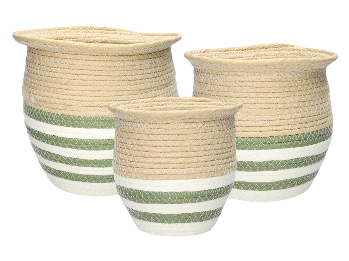 <h4>DF06-730243200 - Set/3 Basket Amina d23xh23 natural/white/green</h4>