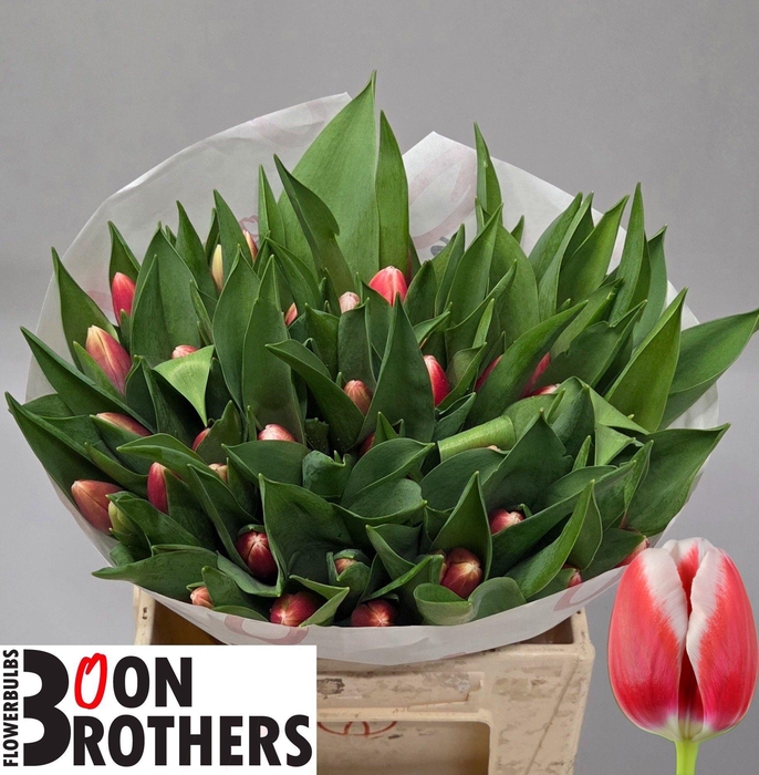 <h4>TU EN OUTFIT</h4>