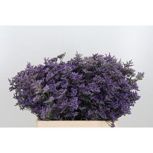 Lim Saf Classic Blue