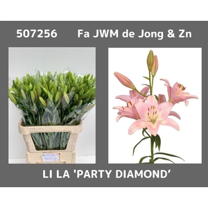 LI LA PARTY DIAMOND