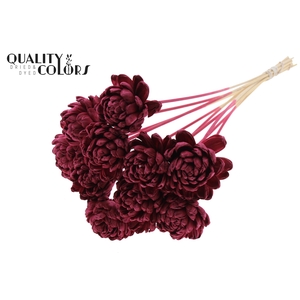 Shola New Beauty Rose Ø8cm on stem Burgundy