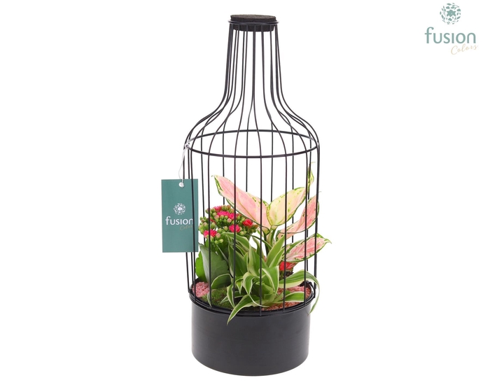 <h4>Metaal fles zwart Medium met arrangement</h4>