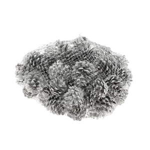 Pinecone Oostenrijker 1kg
