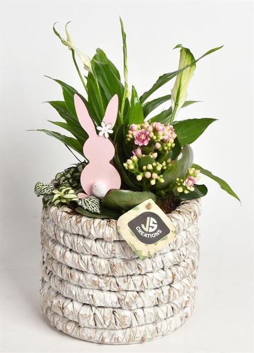 <h4>Mais mand 15.5 cm white wash</h4>