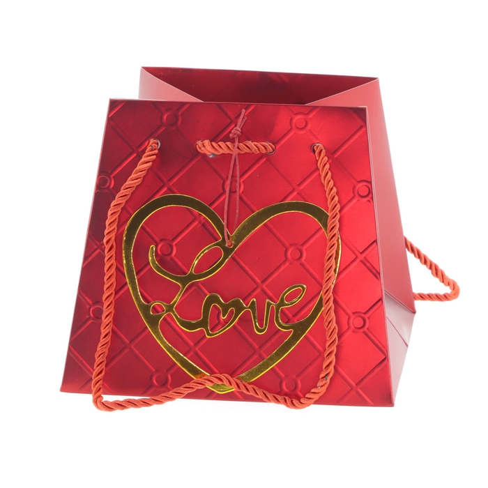 <h4>Moederdag Tas Posh love 13/13x17/17*15cm</h4>