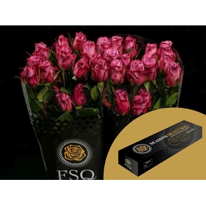 R GR Moody Blues Box