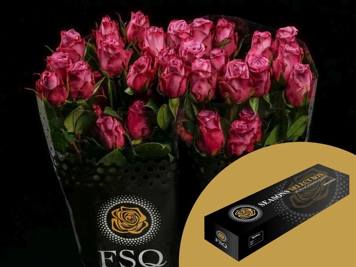 <h4>R GR Moody Blues Box</h4>