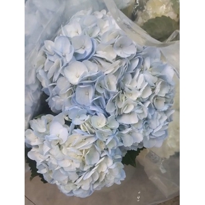 HYDR TINTED LIGHT BLUE