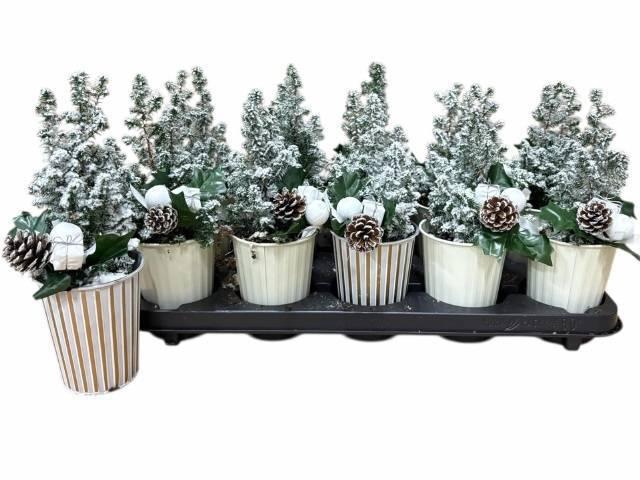 <h4>KERSTBOOM VERSIERD</h4>