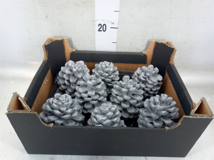 Decoratieve materialen   ...H%