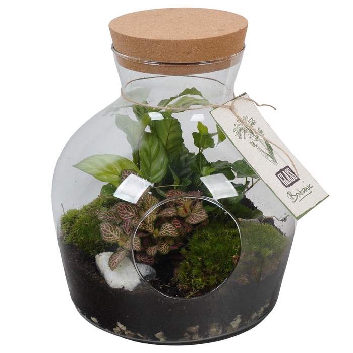 <h4>PTGIG2151 Arrangement Greens in glass in glazen terrarium</h4>