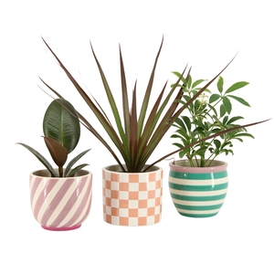 Arr.   Planten L%