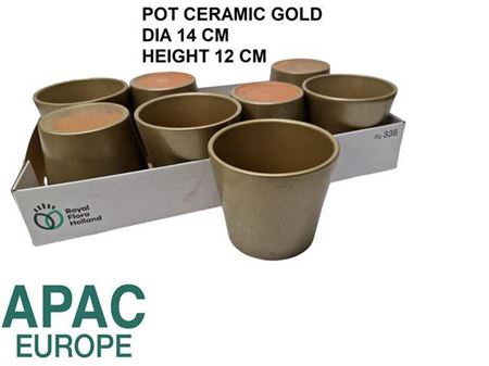 <h4>Deco Pot H% Goud</h4>