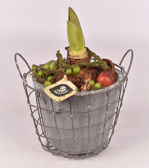 <h4>Gaasmand met cement pot gy 18cm</h4>