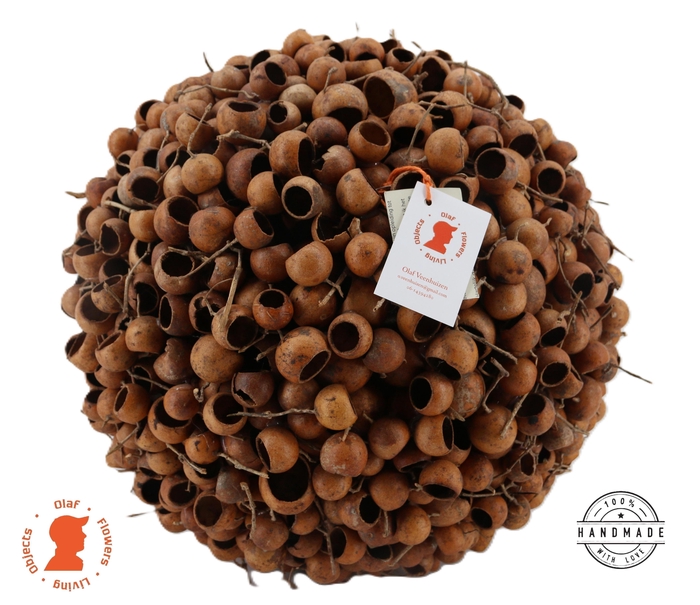 <h4>HUIS EN TUINDECO H%</h4>