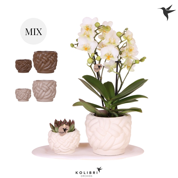 <h4>Kolibri Gift Set small Rope</h4>