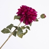 Dahlia Spray Beauty FL440363BEA