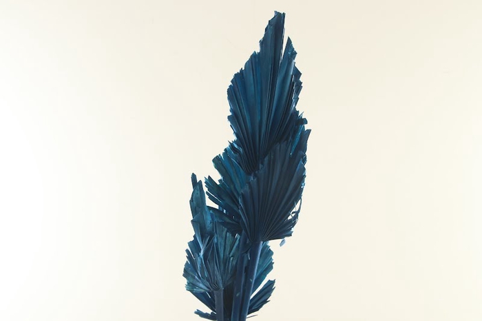 Palm Spear Blue Dark