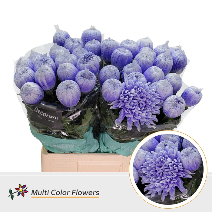 <h4>Chr G Antonov Soft Milka</h4>