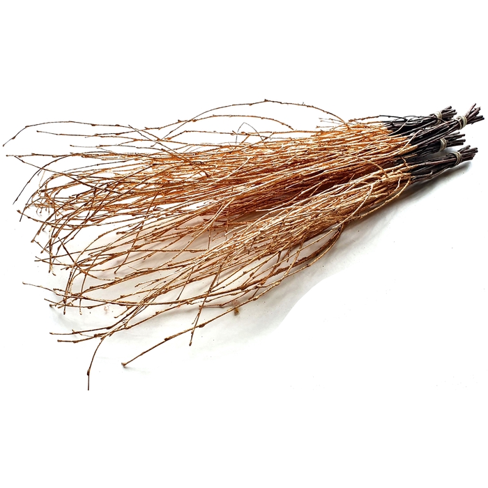 <h4>Birch 70cm 10stems per bunch Antique Gold</h4>