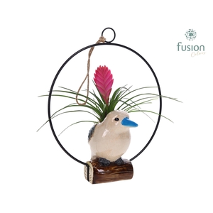 Keramiek vogels in de ring met Tillandsia