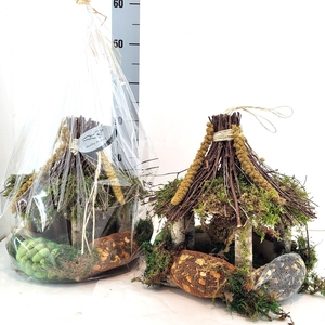 Voeder Vogel Huis 1 in Kado Folie