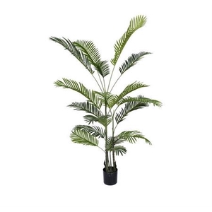 Silk Plant Areca Palm L180D100