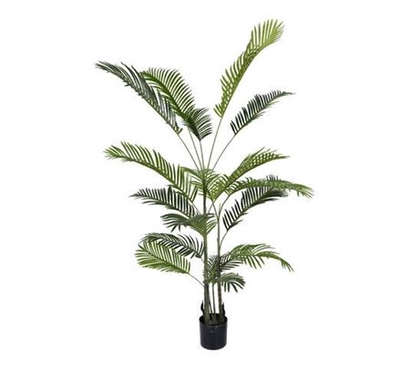 Silk Plant Areca Palm L180D100