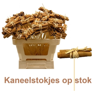 HUIS EN TUINDECO H%