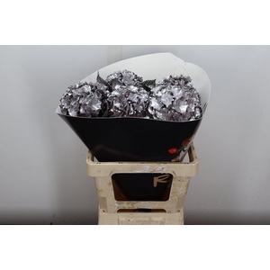 Wax Hydrangea Hydr Wax Paars XL