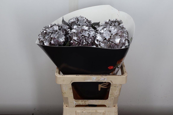 <h4>Wax Hydrangea Hydr Wax Paars XL</h4>