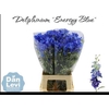 Delph En Energy Blue
