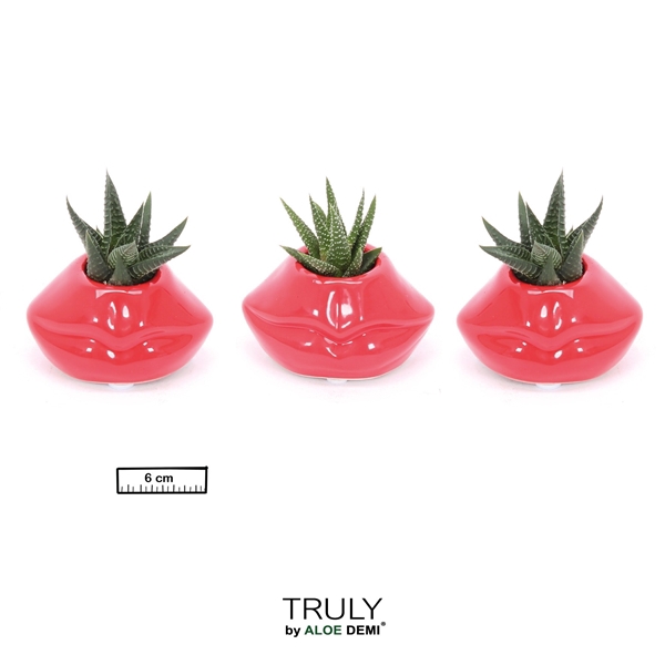 <h4>TRULY Succulent, Lip mini</h4>