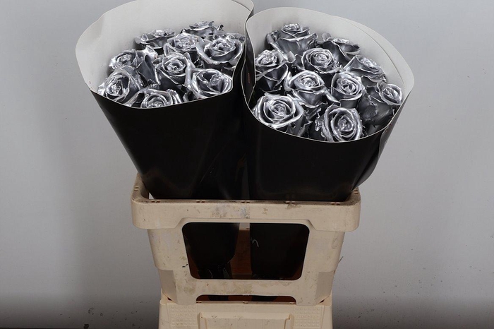 <h4>Wax-Rozen Wax Zilver w22</h4>