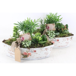 arr2 TD - Rozen boot - roze/wit