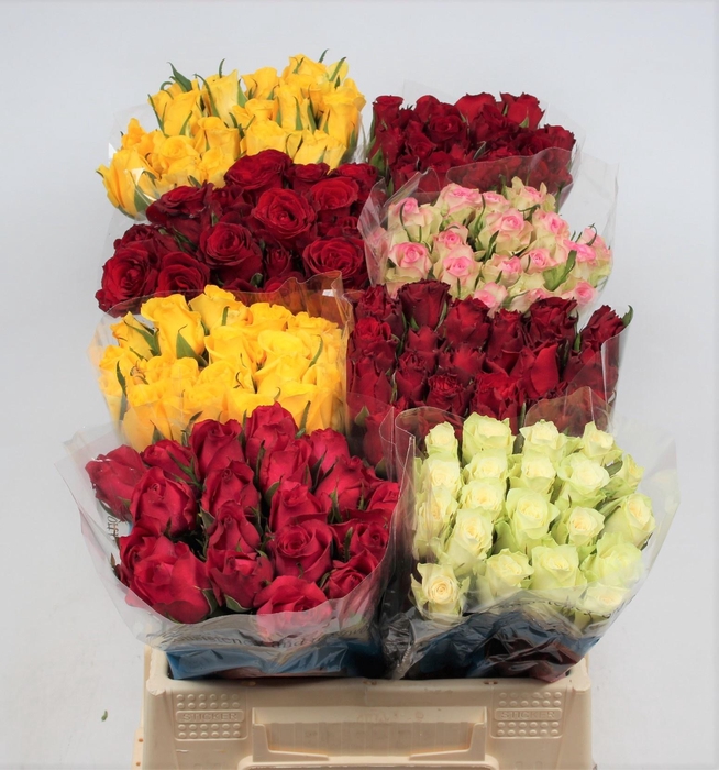 <h4>R KL GEM IN FUST</h4>